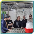 همنشین