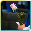 سرای فرشته ها