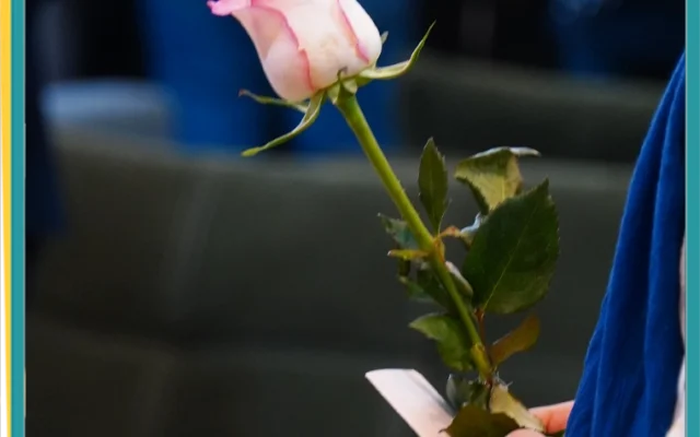 سرای فرشته ها