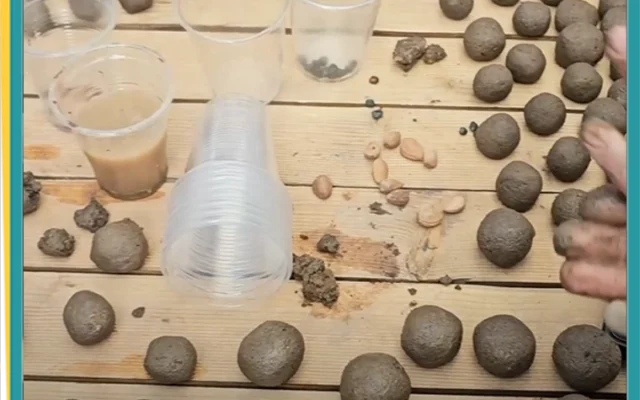 بذربارون